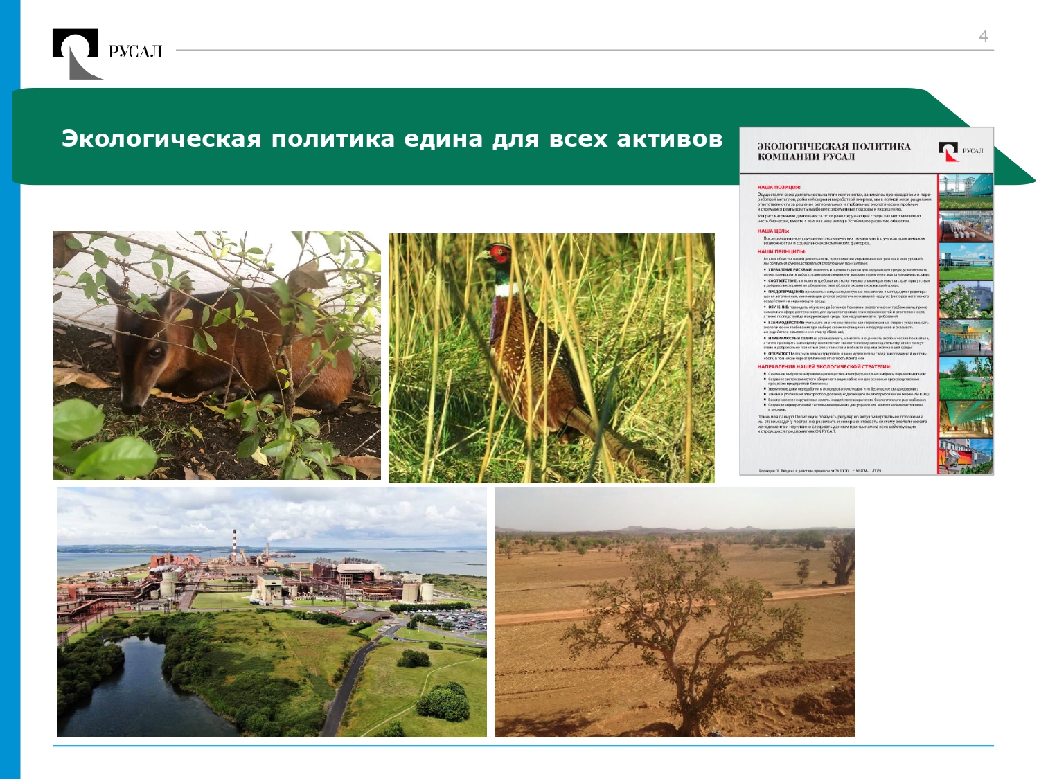 RUSAL Biodiversity 20220217-blue-green var6_page-0004