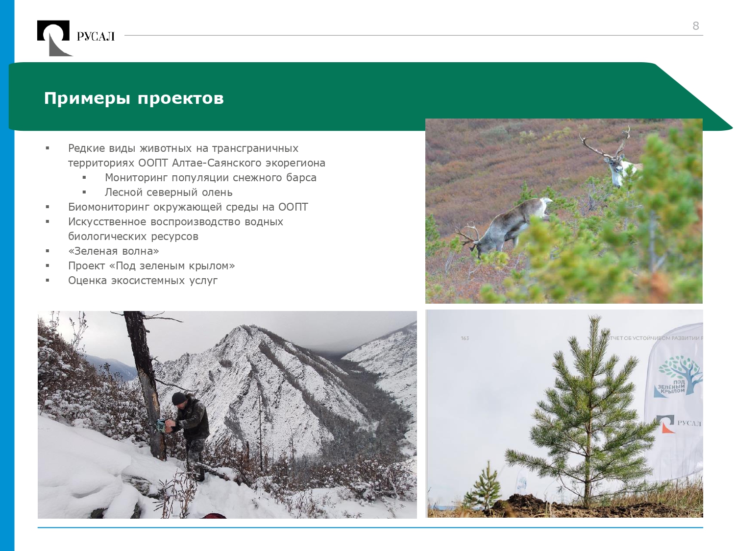 RUSAL Biodiversity 20220217-blue-green var6_page-0008